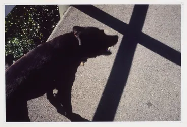 Image: Black dog and cross