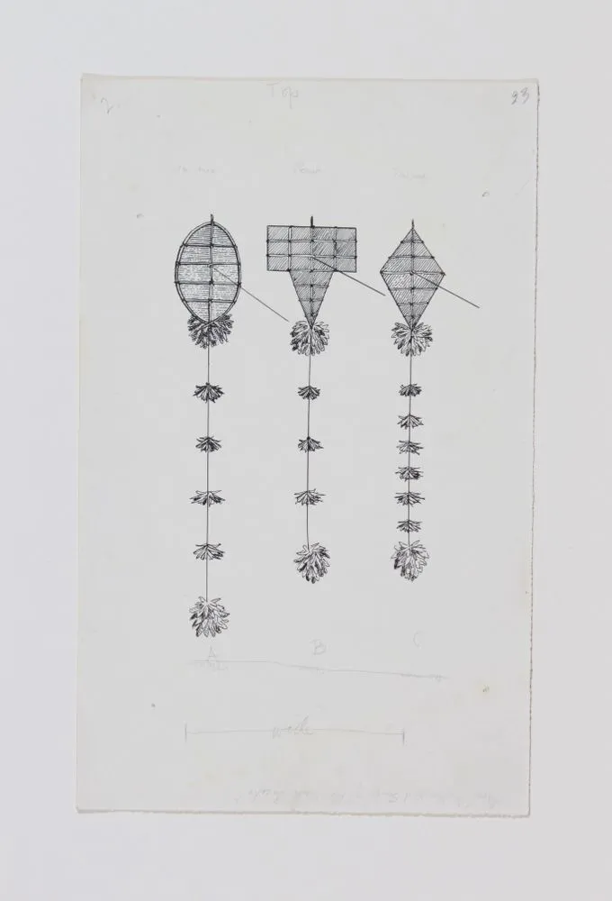 Drawings of kites (for Games and Pastimes of the Māori by Elsdon Best)