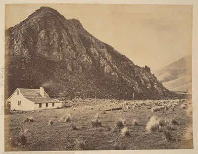 Canterbury. Gebbes Flat, on the Plains.