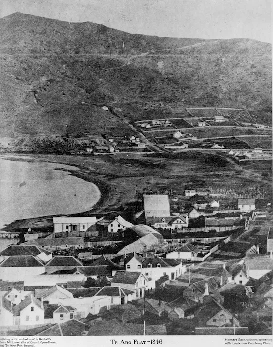 Photographer unknown :Te Aro Flat, Wellington