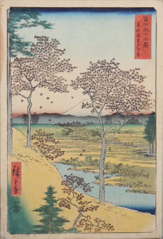 Toto Meguro Yuhigaoka.