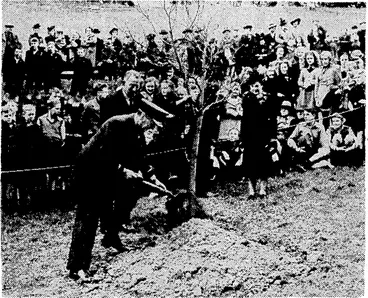 Image: The Governor-General, Sir Cyril Newall, planting an English lime tree at Central Park yesterday in connection with the Arbor Day celebration. Lady Newall watches the process with interest, as do Mr. J. G. MacKenzie, Director of Parks and Reserves, and a number of school children. (Evening Post, 06 August 1942)