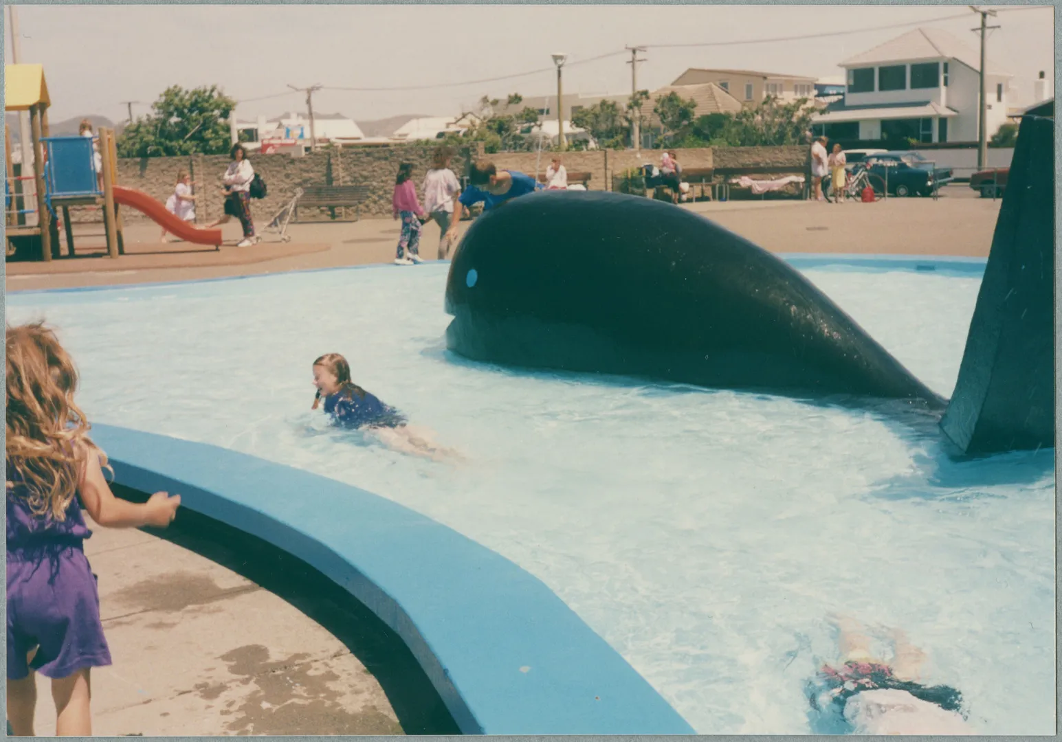 Swimming at whale pool in New Brighton