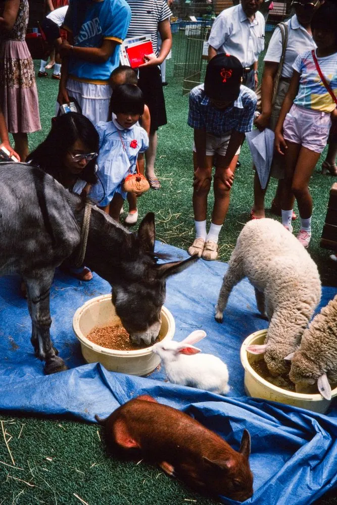 Japan Series: Sunshine City Tower Animal Garden