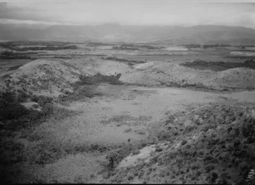 Sand Dune Belt to the West of Lake Horowhenua Image: Sand Dune Belt to the West of Lake Horowhenua