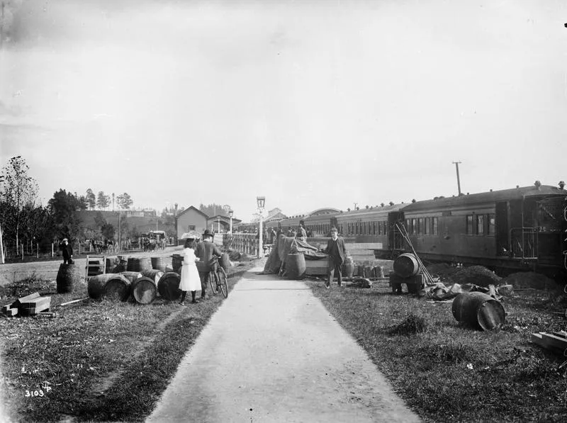 Passenger train at Hamilton railway station