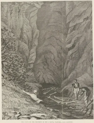 Image: Moa cave on the property of Mr J. Davis, Waitomo, King Country