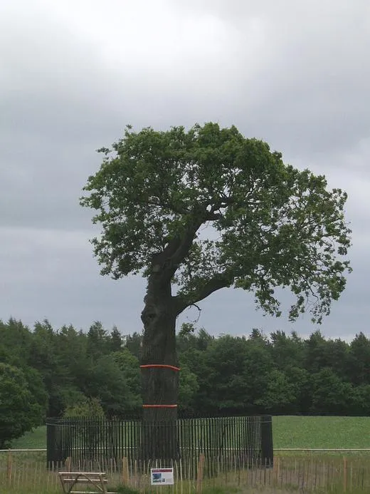 The Boscobel Royal Oak