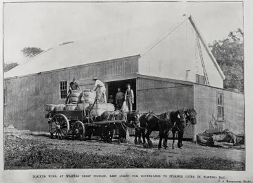Image: Loading wool at Waipiro sheep station, East Coast, for conveyance to steamer lying in Waipiro Bay