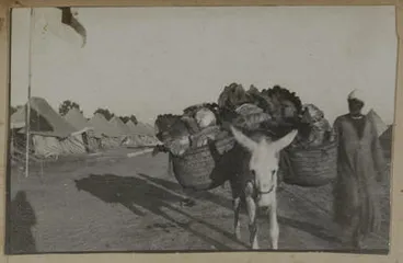 Image: Donkey Carrier