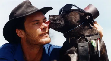 Image: Animal Rescue Society; Moggy Dog show; blind (dog) competitor.