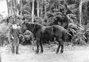 Image: Tommy Hutchison of 'Homewood' : photograph