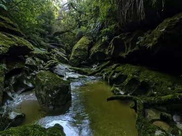 Cave Creek 20 years on ~ Remembering A Tragedy Image: Cave Creek 20 years on ~ Remembering A Tragedy