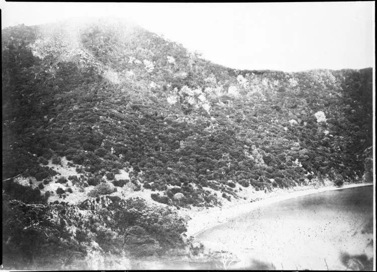 Site of first Mission Station in New Zealand at Rangihoua, Bay of Islands, 1864