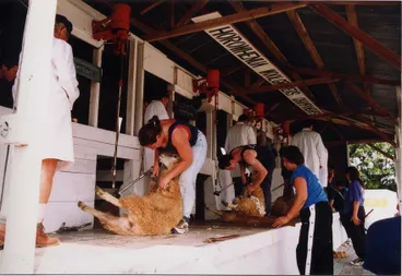 Image: Horowhenua A P& I Show, 2002