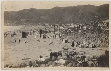 Image: Lyall Bay