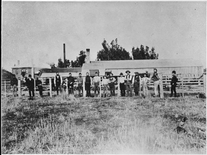 Rowe and Son's Sawmill, Rowe's Line, Rongotea