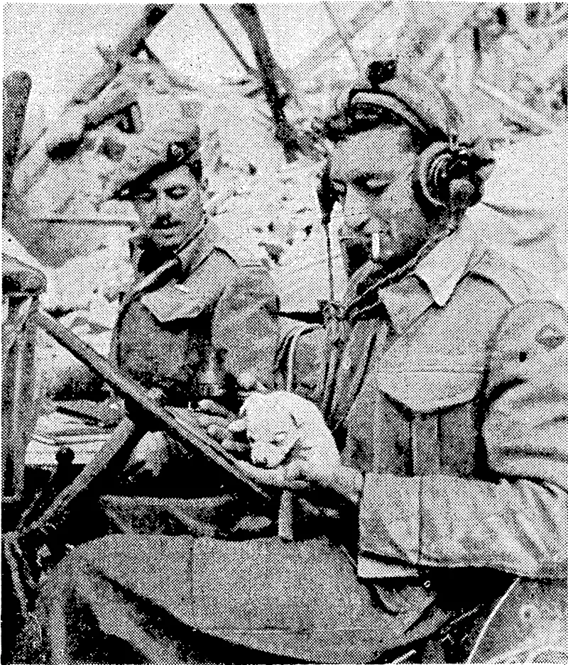 Even in the midst of war's alarms New Zealande.rs.will always find time to. give attention to birds and animals! Above, the driver of a jeep admires the tiny puppy he has found in the ruins of a house in Sesto Imolese, just after the capture of the North Italian town by the New Zealand Division. Right, New Zealanders feeding the pigeons in St. Mark's Square, Venice, the day after the city was liberated by New Zealand troops. (Evening Post, 07 July 1945)