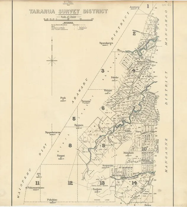 Tararua Survey District [electronic resource] / drawn by E.R. Wilson, 1896.