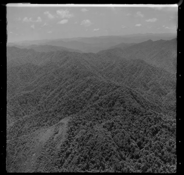 Waioeka Gorge, Bay of Plenty