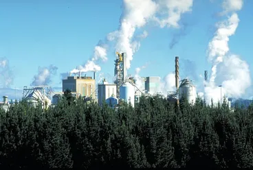 Kinleith pulp and paper mill Image: Kinleith pulp and paper mill