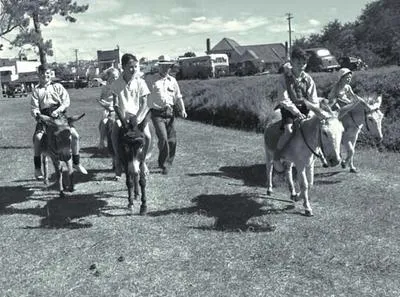 Holiday time Auckland resorts.