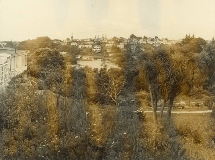 Wairau Estuary, Milford
