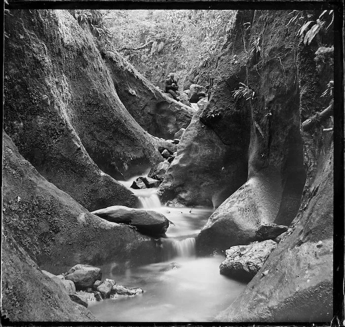 Nichols Creek, Dunedin