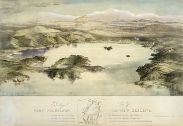 Image: ‘Birds’-eye view of Port Nicholson’