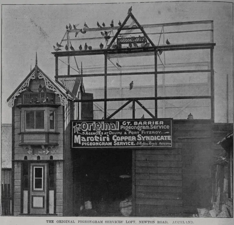 The original pigeongram services' loft, Newton Road, Auckland