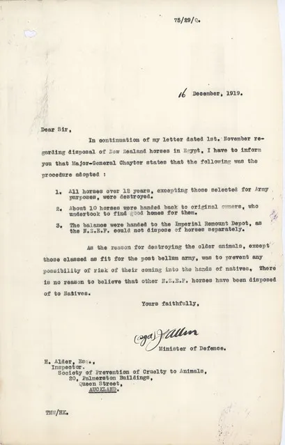 Demobilisation - Horses - Disposal of abroad in World War I