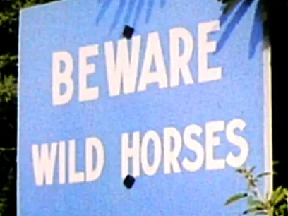 Amazing New Zealand!