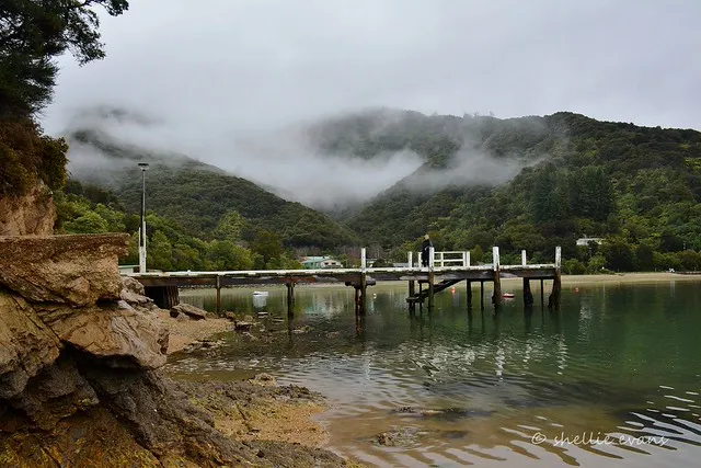 Momorangi Jetty, Grove Arm, Queen Charlotte Sound
