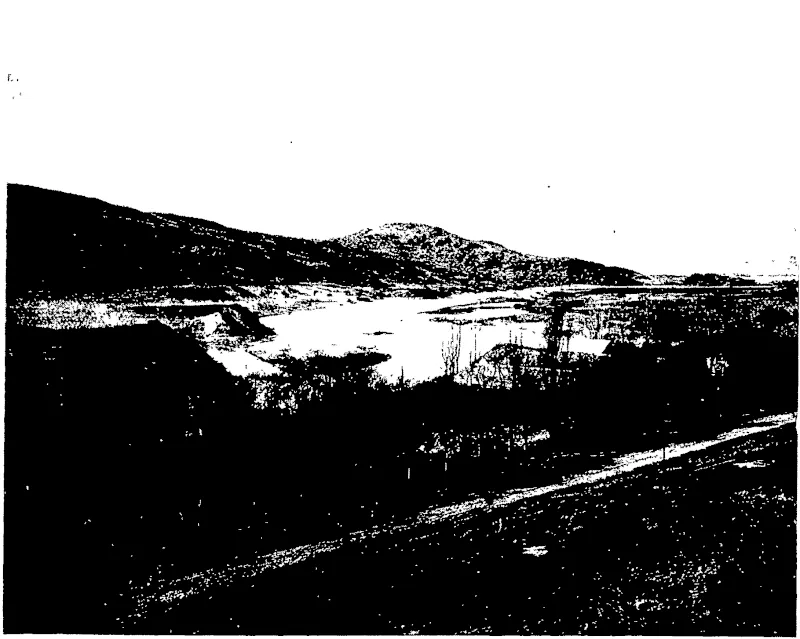 A GLIMPSE OF MR PENNELL'S ORCHARD, NEAR ROXBURGH. Here the many varieties of small fruits may be seen growing to perfection—almonds walnuts, persimmons, Japanese loquats. peaches, apricots, cherries, plums, apples, tomatoes, grapes, strawberries, etc. (Otago Witness, 26 July 1905)