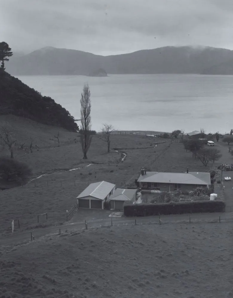 Guard Cove, Cloudy Bay, Port Underwood