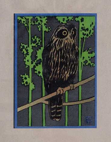 Image: Ruru: Portfolio of birds in colour, 1919