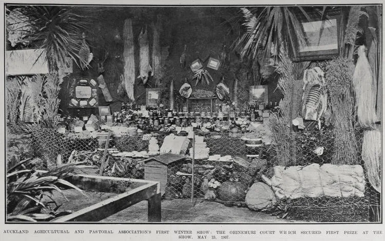 AUCKLAND AGRICULTURAL AND PASTORAL ASSOCIATION'S FIRST WINTER SHOW: THE OHINEMURI COURT WHICH SECURED FIRST PRIZE AT THE SHOW, MAY 23, 1907