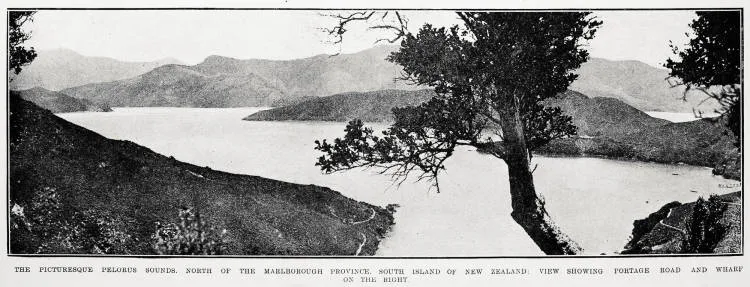 The picturesque Pelorus Sounds, north of the Marlborough Province, South Island of New Zealand: view showing Portage Road and wharf on the right