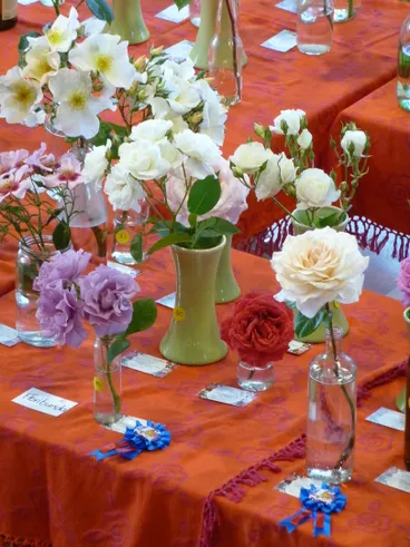 Image: Lyttelton Rose Show