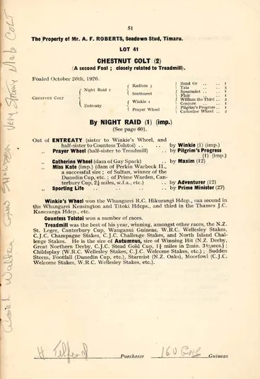 Image: Phar Lap: a chestnut colt