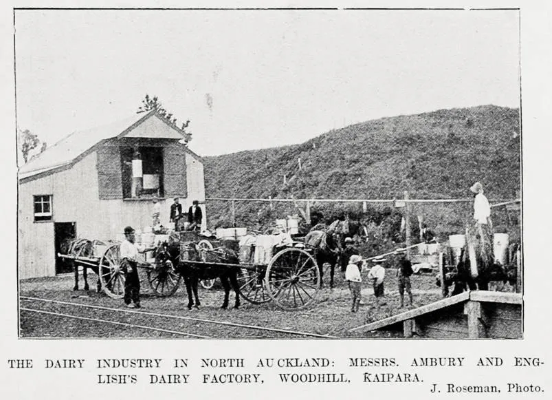 The dairy industry in North Auckland: Messrs, Ambury and English's dairy factory, Woodhill, Kaipara