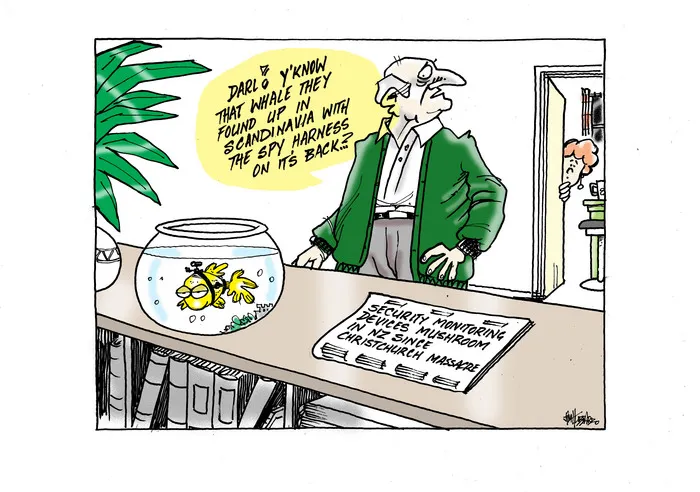 Security monitoring devices mushroom in NZ since Christchurch massacre