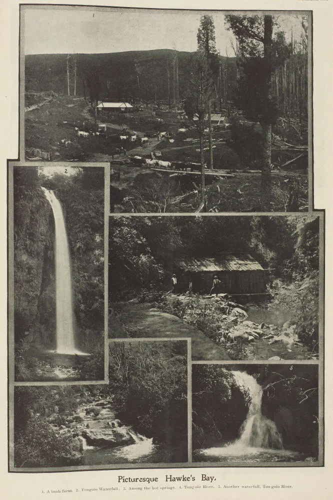 Picturesque Hawke's Bay