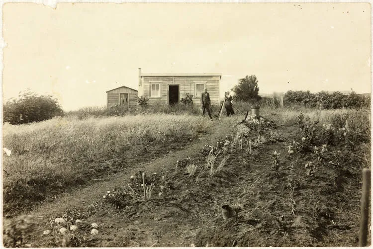 Springhall's house and garden, Swanson