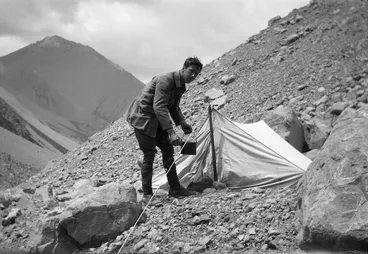 Image: Solo, Ashburton