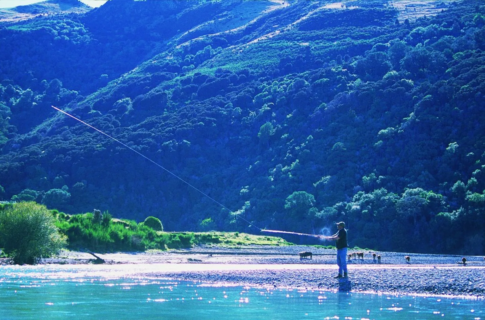 Fishing on the Waiau River