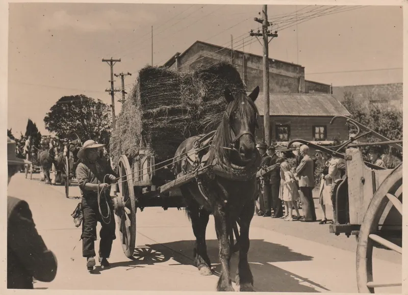 Dufty Bell leading a horse-drawn wagon carrying jogs of hay during the 1947 Centennial Parade.