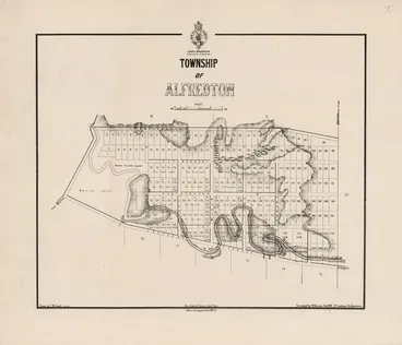 Image: Township of Alfredton / drawn by T.M. Grant ; surveyed by W. Dennan.