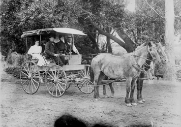 Image: Horse and cart