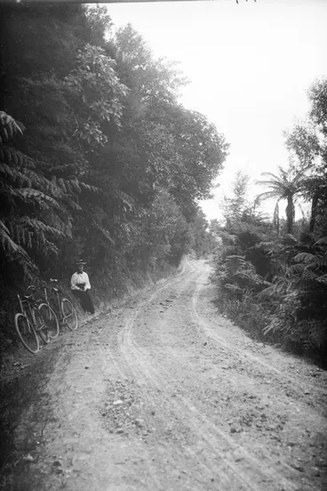 Image: North Road, Clevedon, 1907
